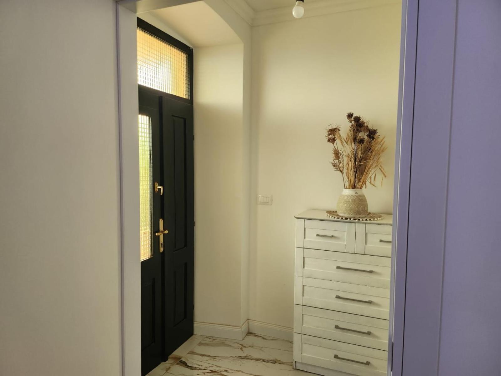 Vila Dora - Studio Dora Martinscica  Bagian luar foto